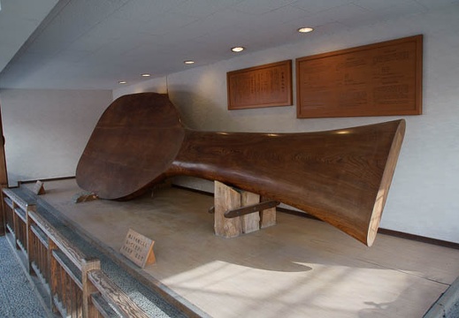 201001301452-DSC07498.jpg