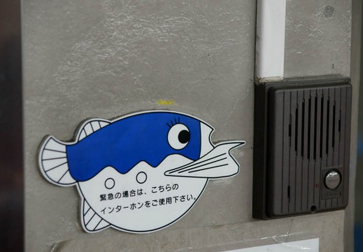201001311706-DSC07877.jpg