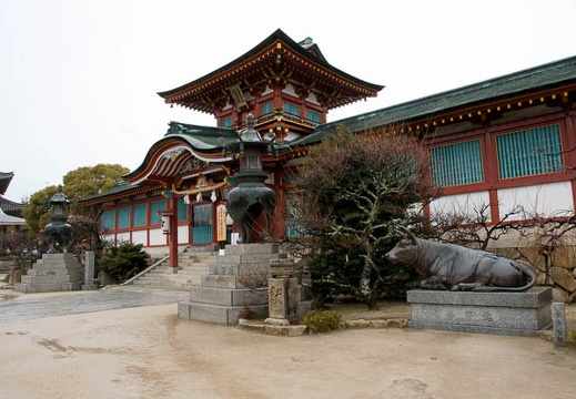 201002011408-DSC07979.jpg