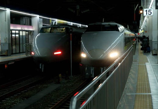 201002011713-DSC08102.jpg
