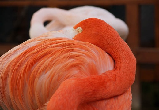 201002021036-DSC08225.jpg