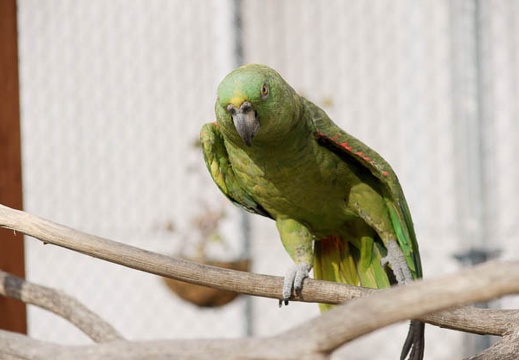 201002021037-DSC08231.jpg