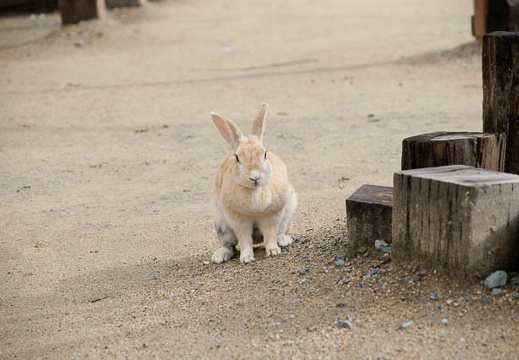 201002021047-DSC08271.jpg