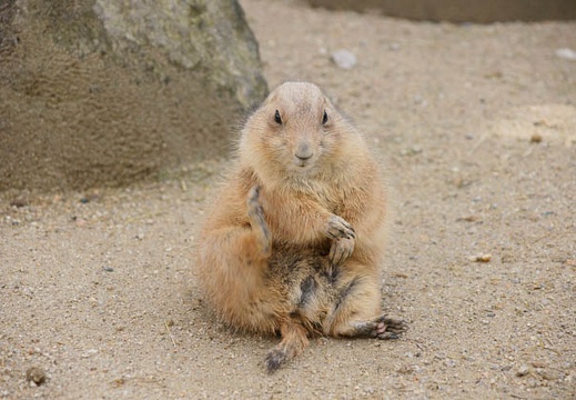 201002021059-DSC08314.jpg