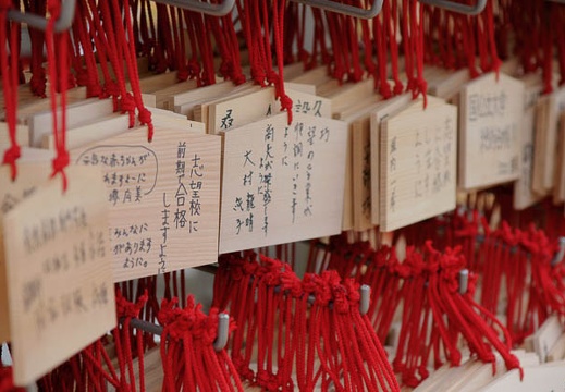 201002021219-DSC08391.jpg