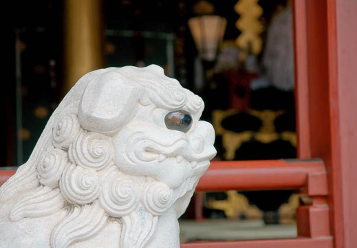 201002021221-DSC08400.jpg