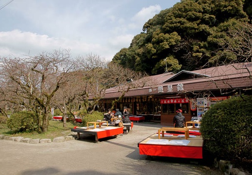 201002021225-DSC08411.jpg