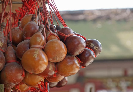 201002021229-DSC08413.jpg