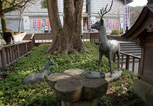 201002021235-DSC08423.jpg