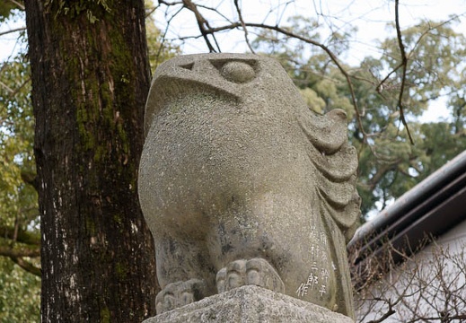 201002021237-DSC08428.jpg