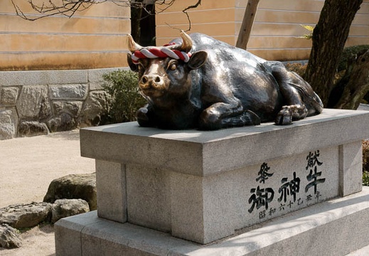 201002021249-DSC08450.jpg