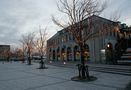 201002021747-DSC08721.jpg