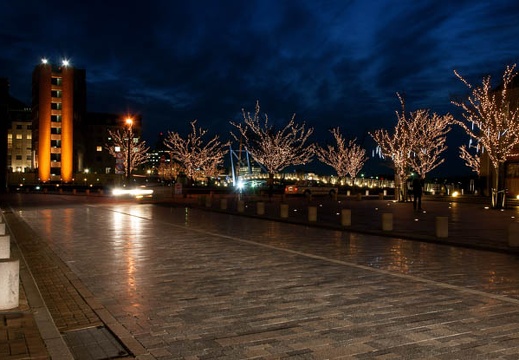 201002021818-DSC08752.jpg