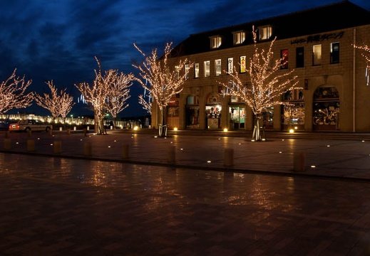 201002021819-DSC08754.jpg