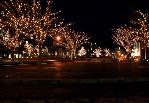 201002021825-DSC08762.jpg