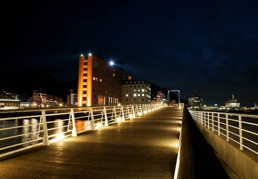 201002021826-DSC08765.jpg