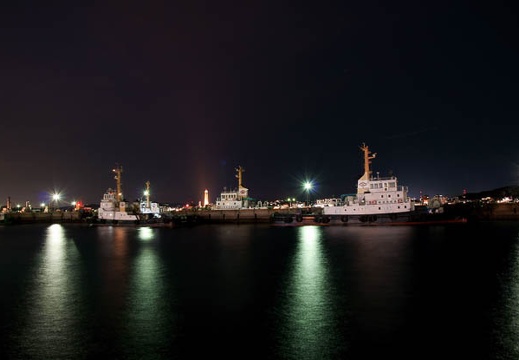 201002021839-DSC08782.jpg