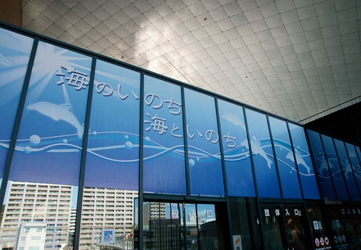 201002031016-DSC08898.jpg