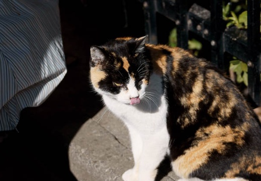 201002071051-DSC09169.jpg