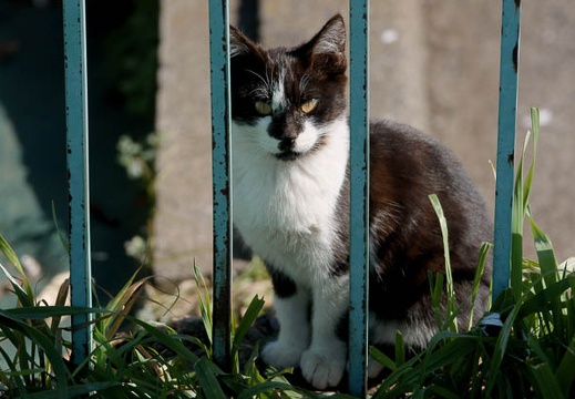 201002071223-DSC09317.jpg