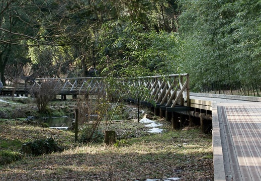 201002091401-DSC09451.jpg