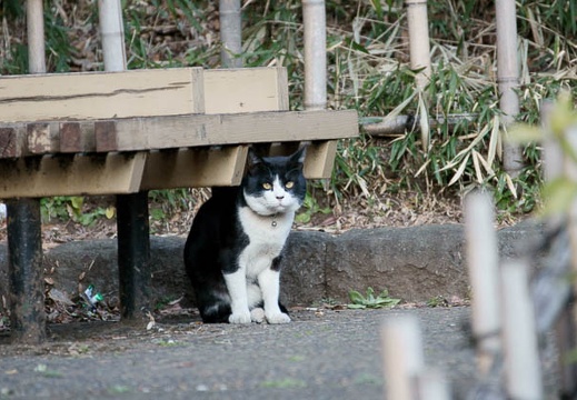 201002091612-DSC09566.jpg