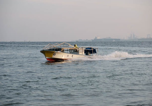 201002140703-DSC09707.jpg