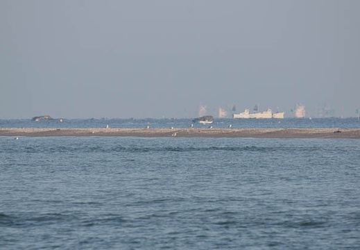 201002140719-DSC09733.jpg