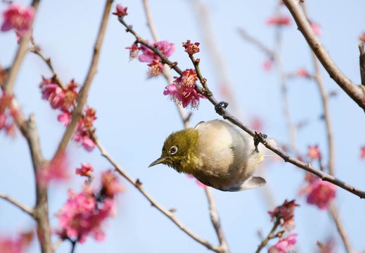 201002140901-DSC09875.jpg