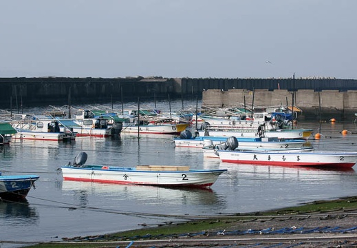 201002140931-DSC09922.jpg