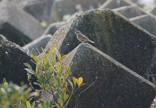 201002140951-DSC09951.jpg