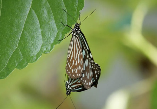 201002141249-DSC00078.jpg