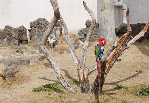 201002141301-DSC00102.jpg