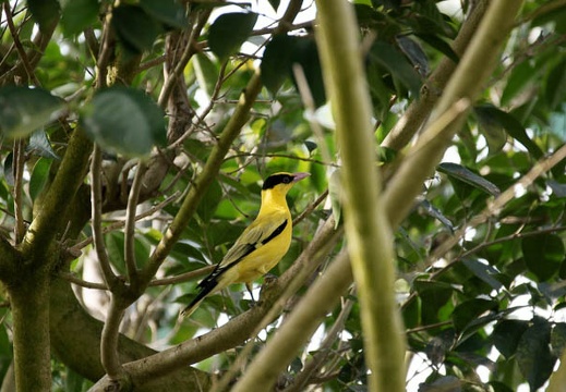 201002141317-DSC00130.jpg