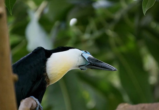 201002141318-DSC00135.jpg