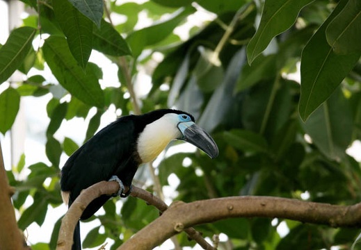 201002141319-DSC00138.jpg