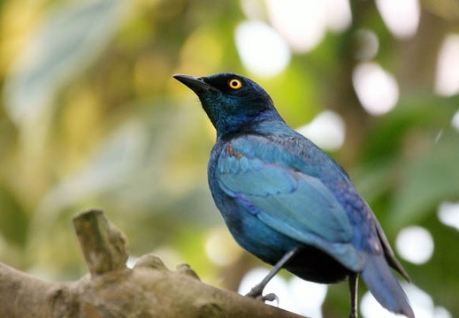 201002141320-DSC00142.jpg