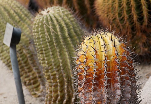 201002141332-DSC00168.jpg