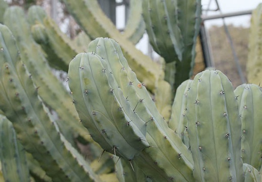 201002141333-DSC00170.jpg
