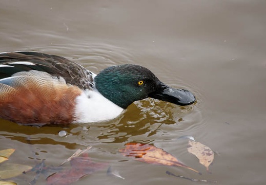 201002141336-DSC00180.jpg