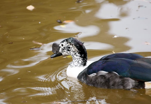 201002141337-DSC00185.jpg