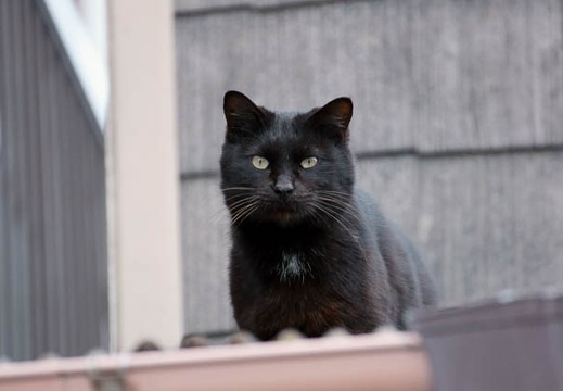 201002141504-DSC00209.jpg