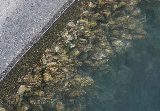 201002141509-DSC00215.jpg