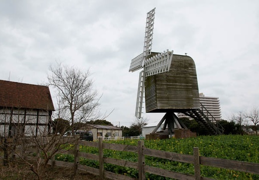 201002141550-DSC00249.jpg