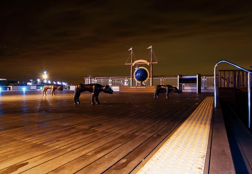 201002142047-DSC00264.jpg