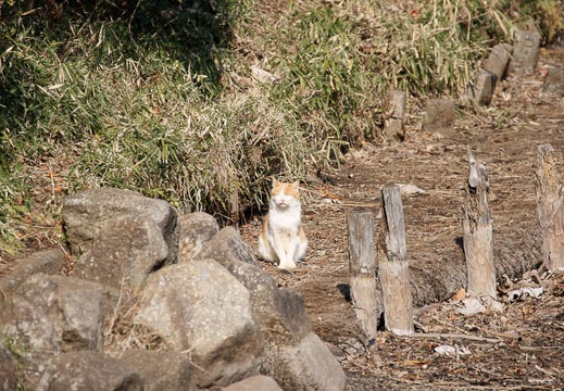 201002201017-DSC00307.jpg