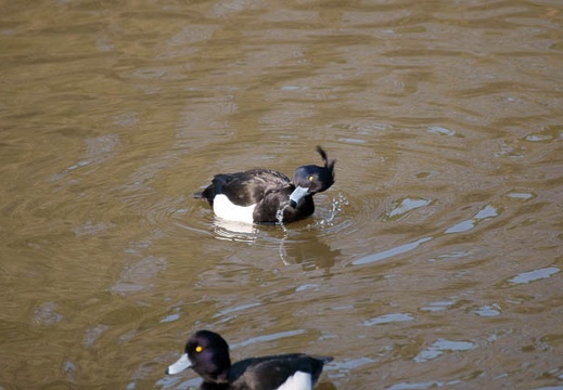 201002201032-DSC00325.jpg