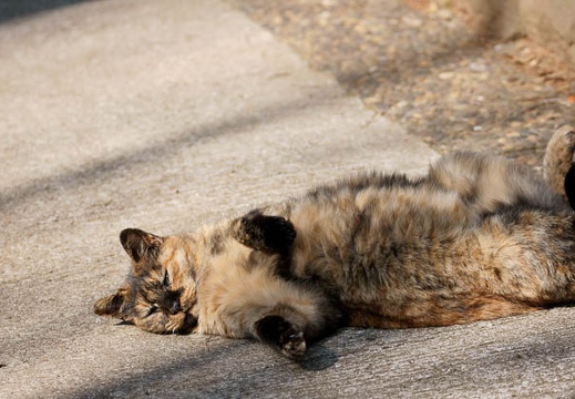201002201149-DSC00479.jpg