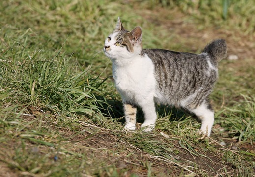 201002201305-DSC00529.jpg