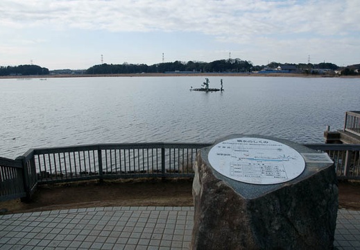 201002210919-DSC00667.jpg